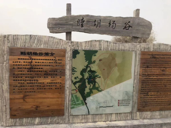 上海刑事案件找律師為您講講DNA鑒定意見證據如何分析
