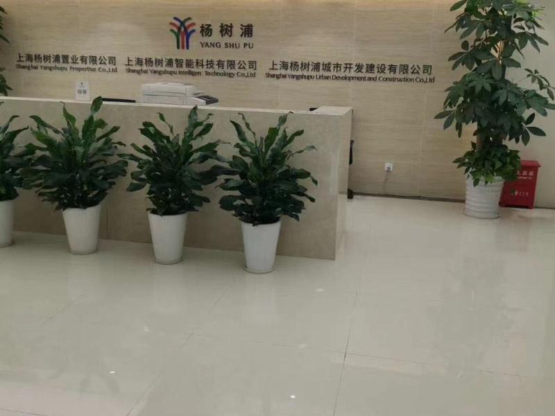 青浦區刑事律師為您講解虛開發票是為了證明自己的經濟實力是否屬于犯罪