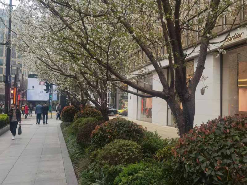 被告人販賣毒品后又幫他人窩藏毒品的如何定罪？上海刑事律師案件來回答