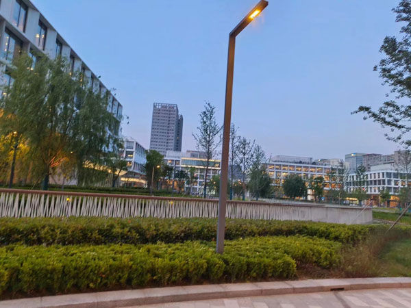 法律知識:上海嘉定刑事律師解答賭博刑事違法犯罪的法律社會責任