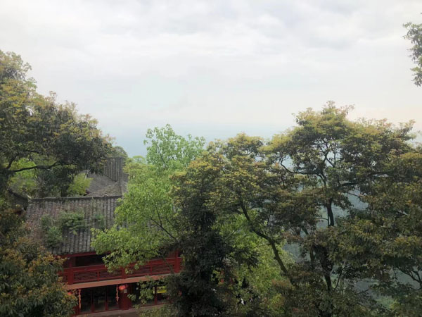 毒品犯罪中作為律師如何抓住物證效力展開辯護？上海無罪辯護律師來支招