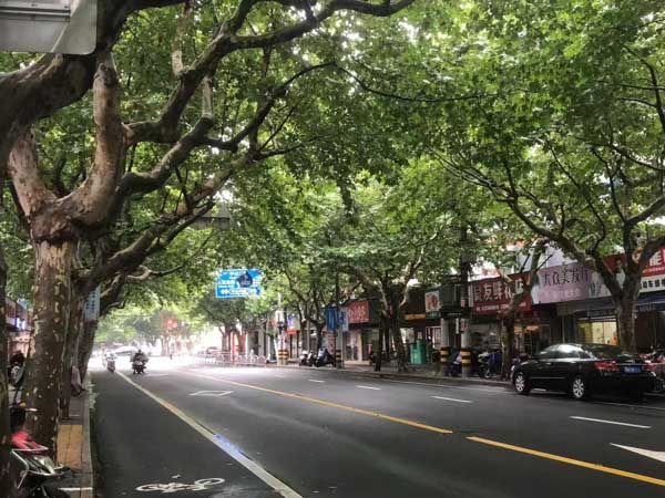 上海刑事專業律師深度解析法院調解的適用范圍