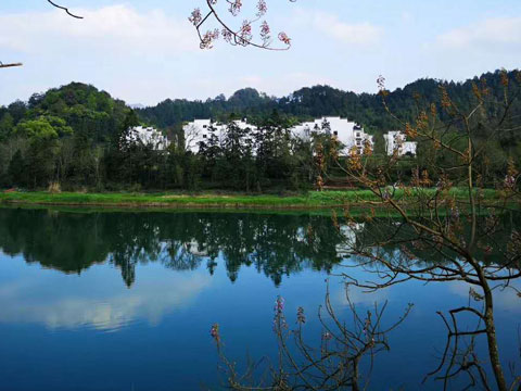 法律規(guī)定盜竊一萬元判多久