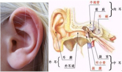 鼓膜穿孔是否構成輕傷？